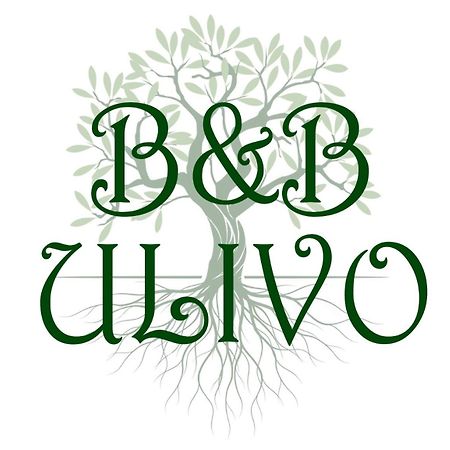 Bed and Breakfast Ulivo Trapani Zewnętrze zdjęcie